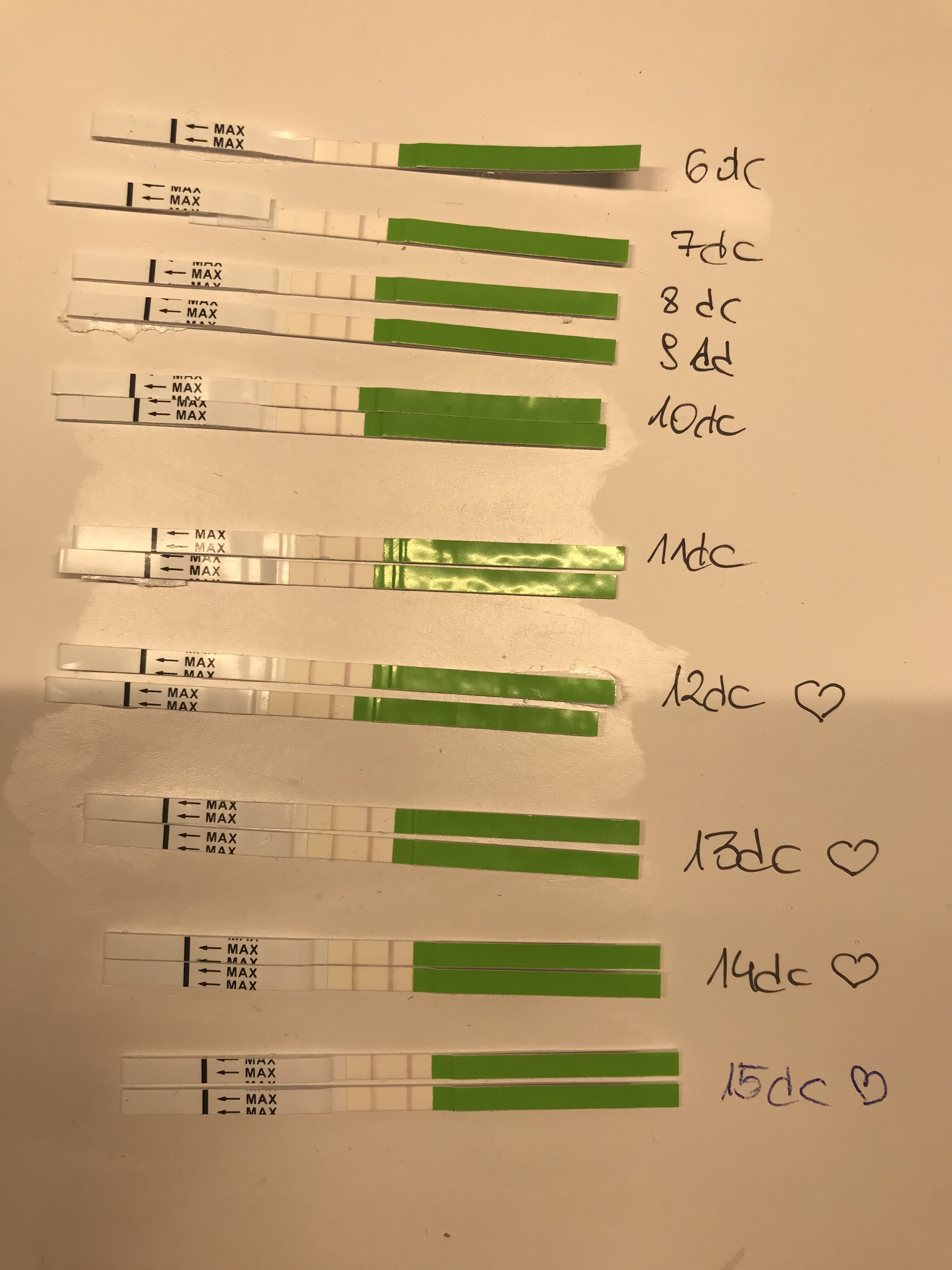 82F094DF-E651-4F86-805B-5AD25CCD55EC.jpeg