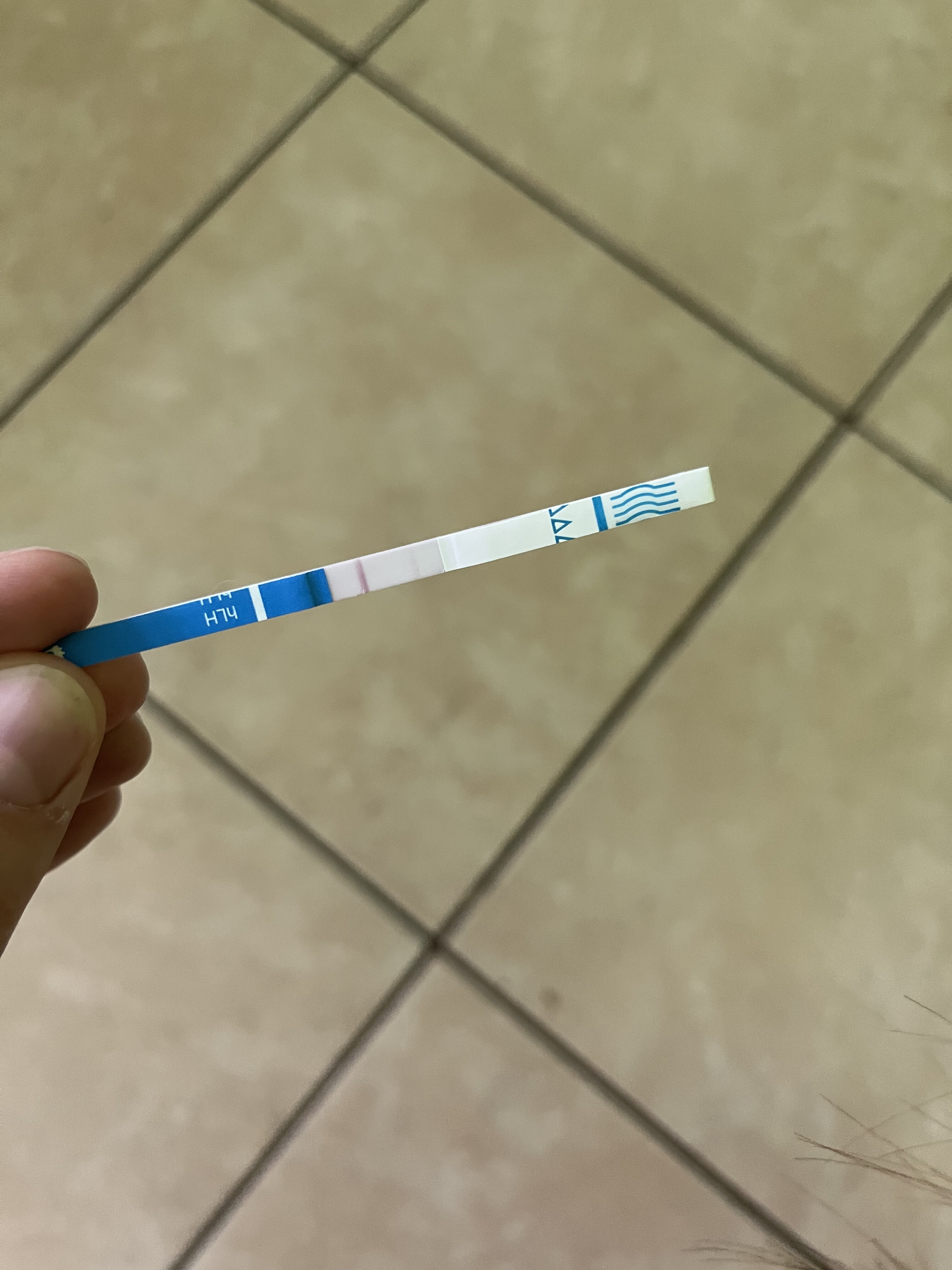BF51E72D-E970-47FD-A821-341EC4650E07.jpeg