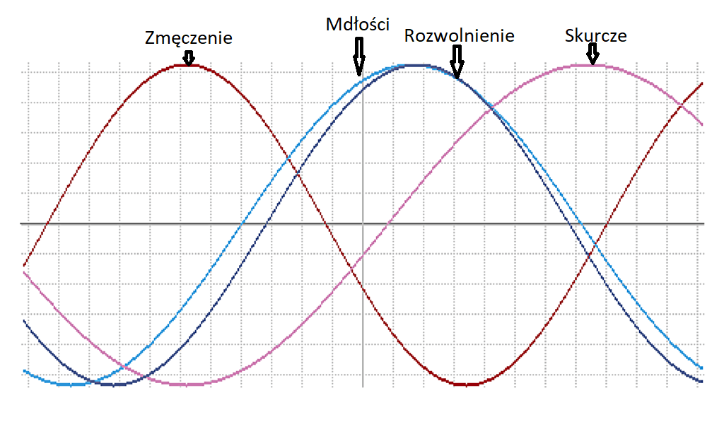 Biorytm.png