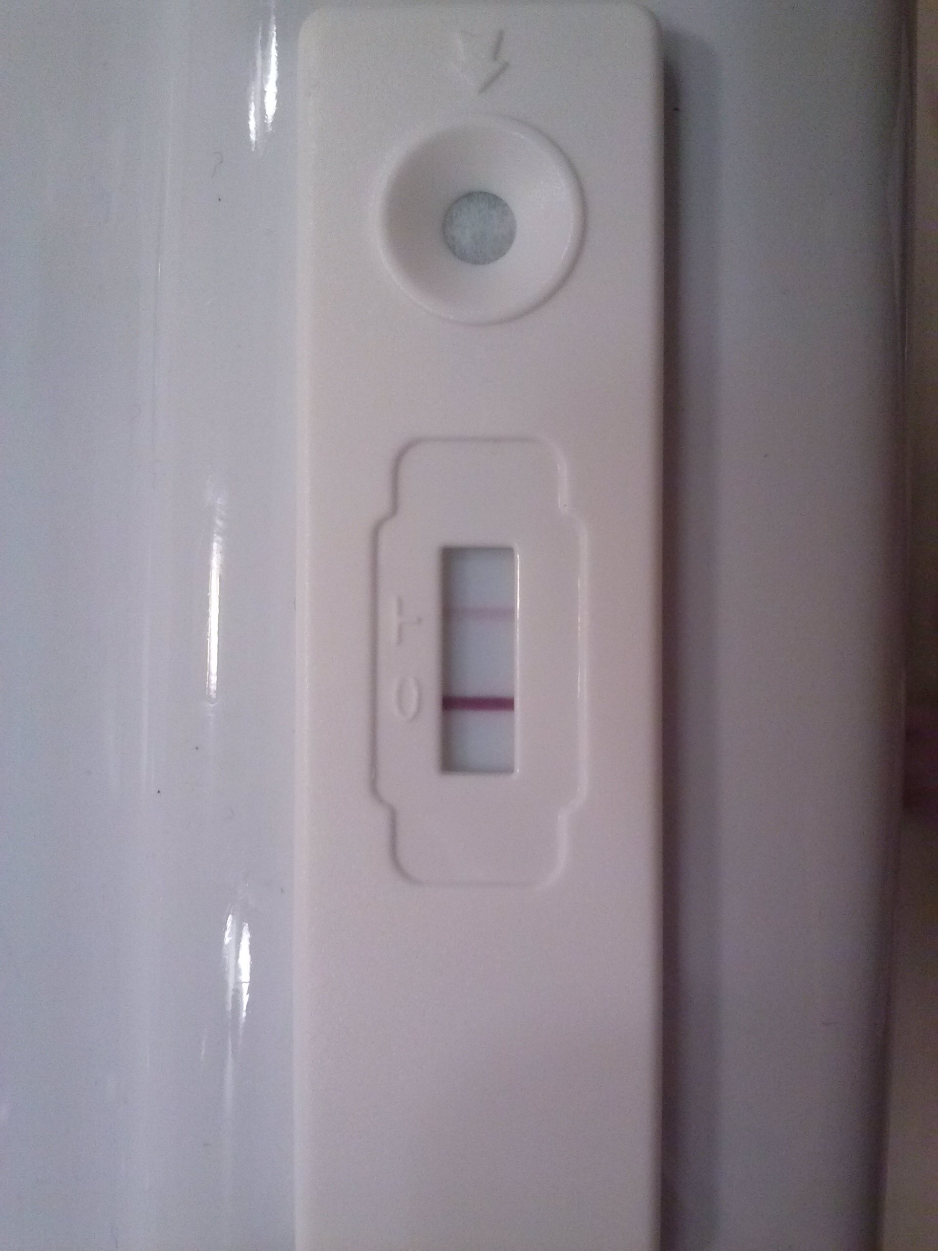 CAM00371.jpg