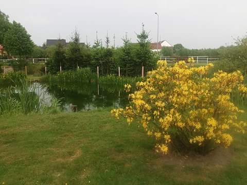 FB_IMG_1464110422033.jpg