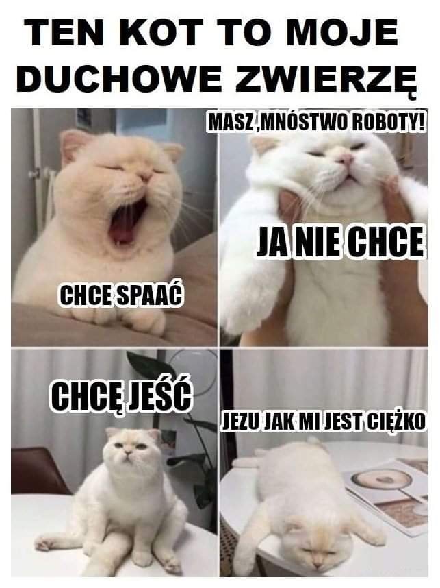 FB_IMG_1562071308965.jpeg
