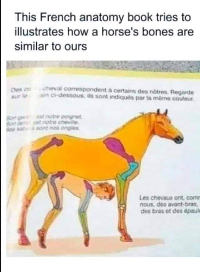 FB_IMG_1679899681491.jpg