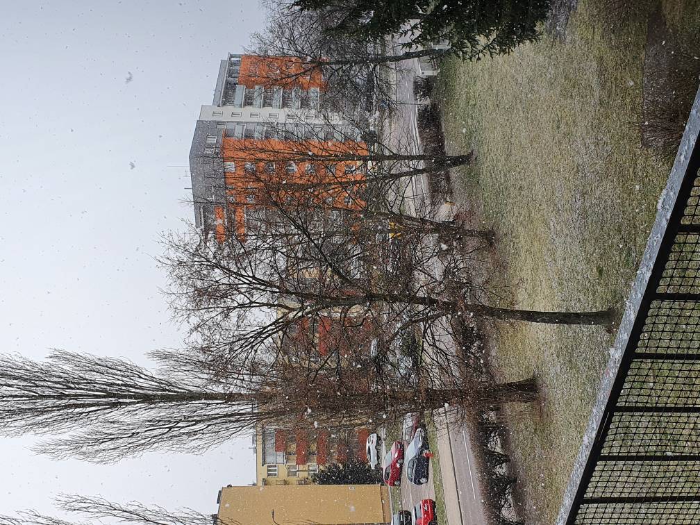 Image%20(7).jpeg