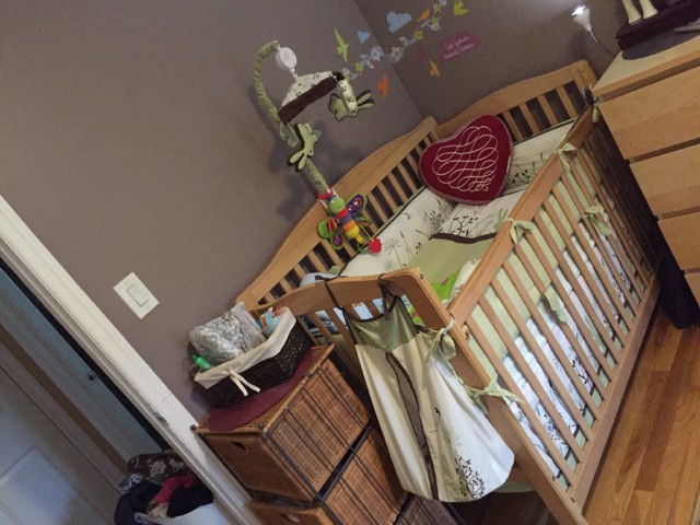 ImageUploadedByForum BabyBoom1456265415.726502.jpg