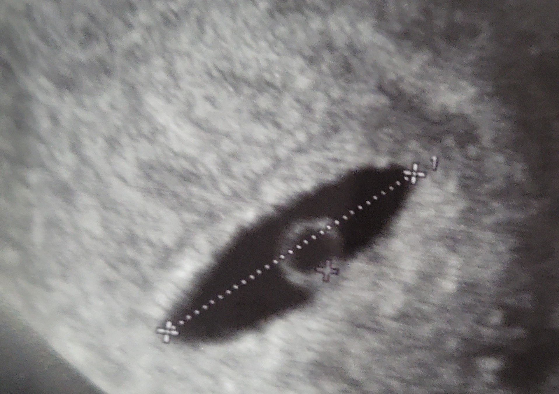 IMG-20221115-WA0005.jpeg