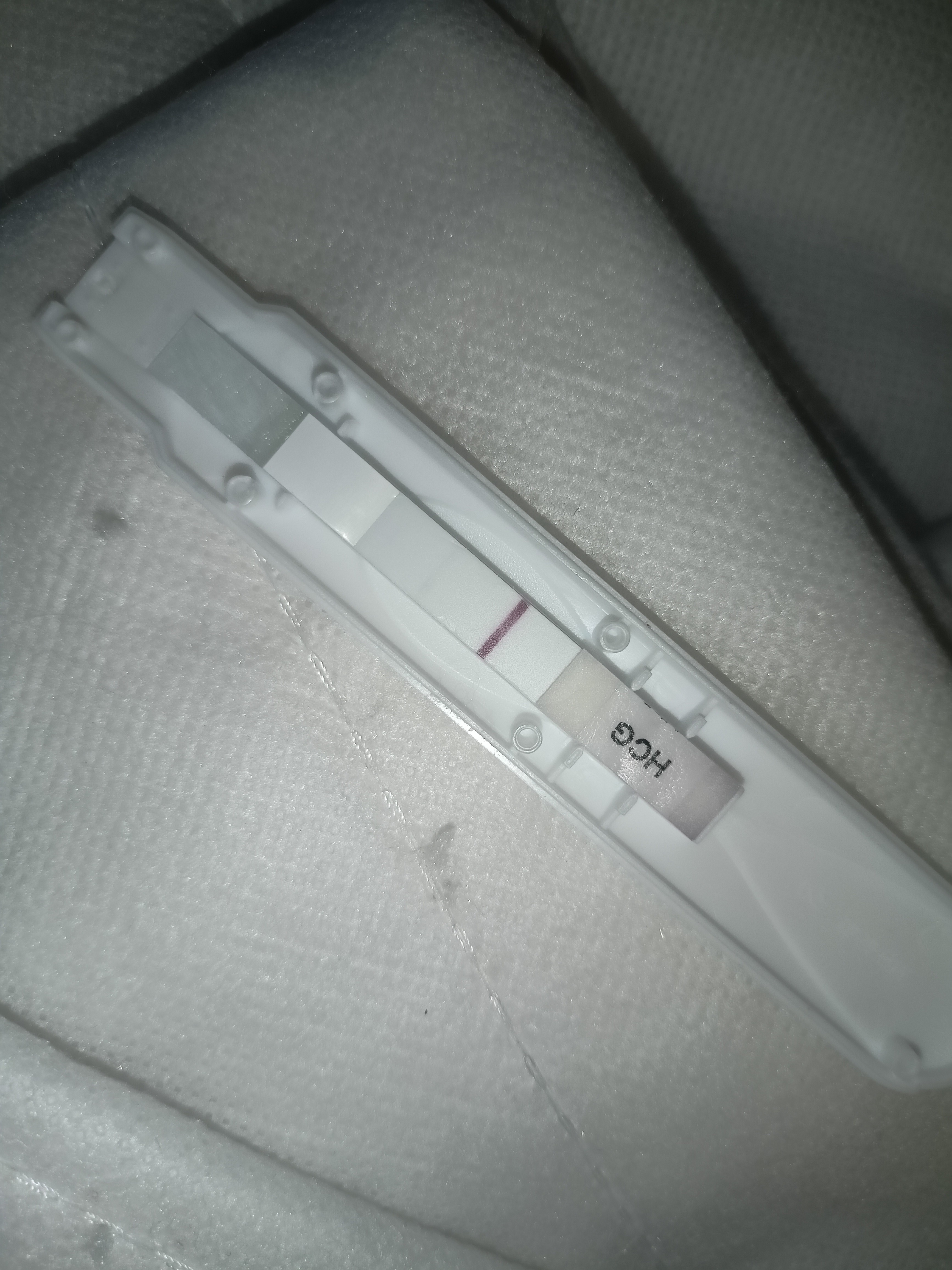 IMG20231006180131.jpg