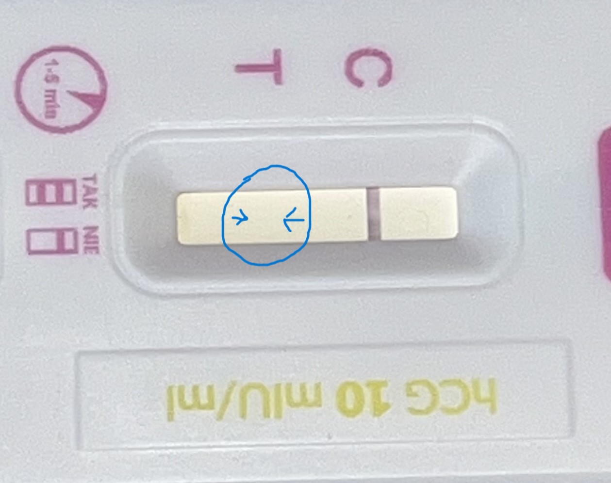 IMG_0626 — kopia.jpeg