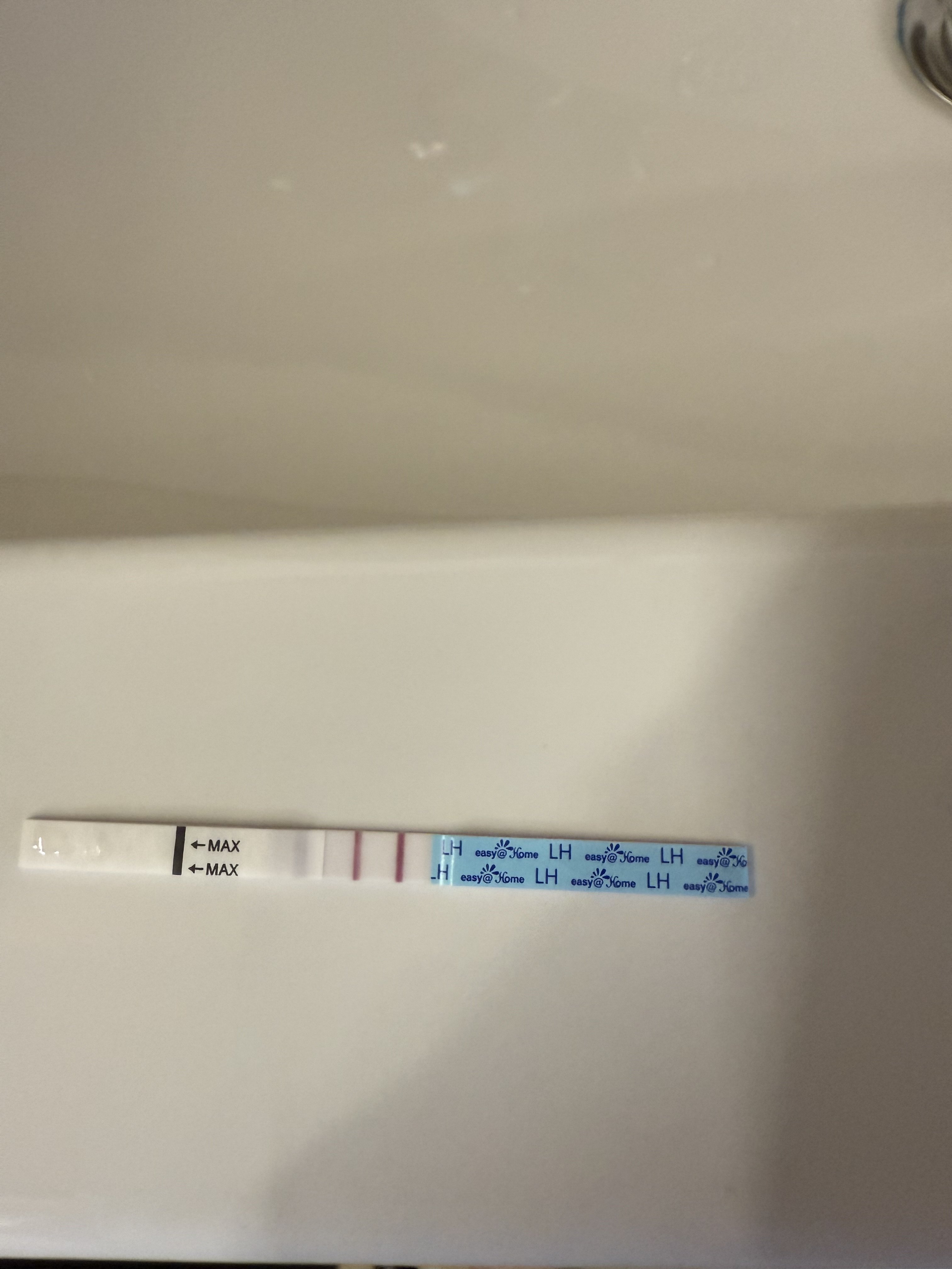 IMG_1989.jpeg