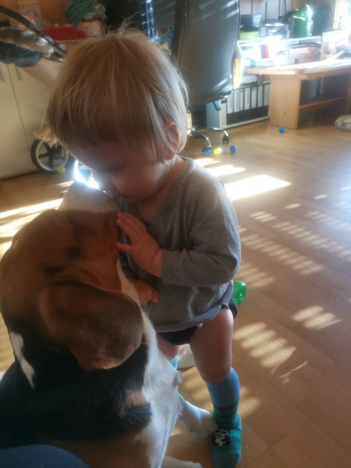 IMG_20190218_153142.jpeg