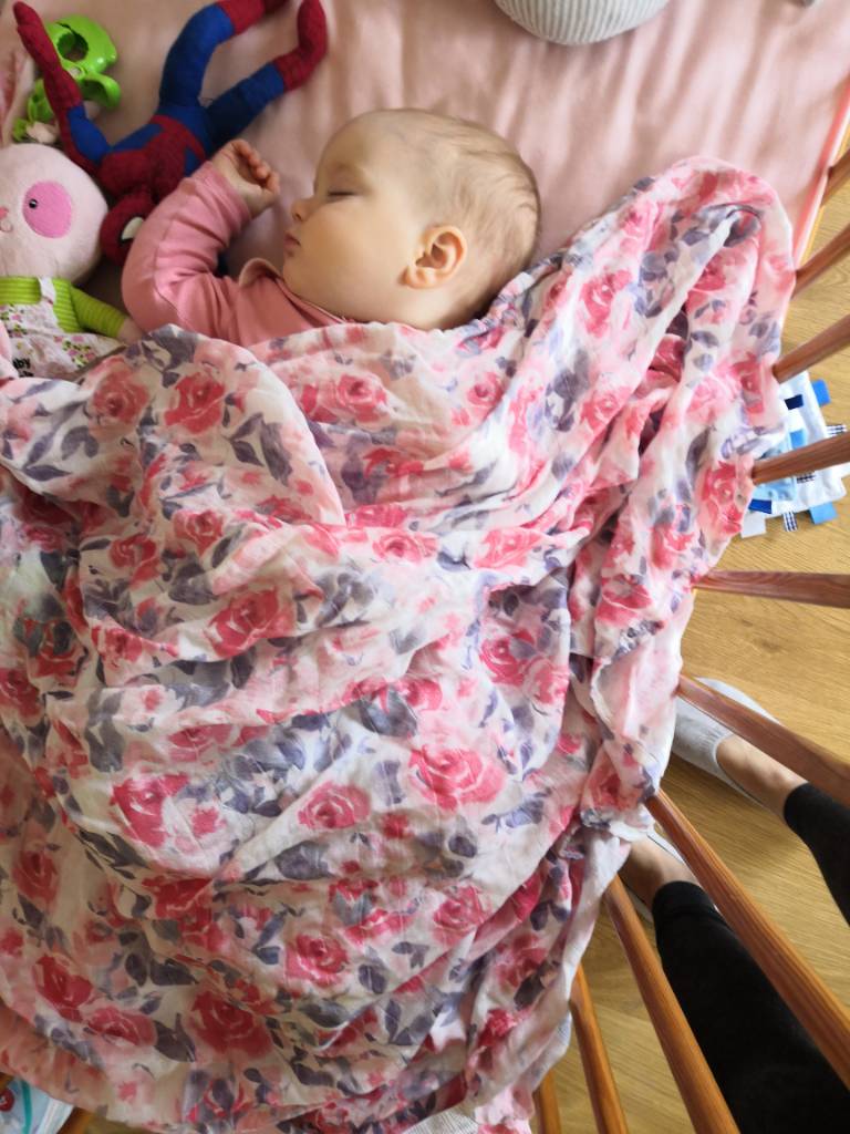IMG_20190516_093713.jpeg