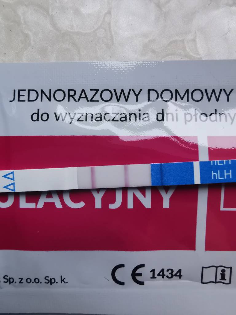 IMG_20190814_125430.jpeg