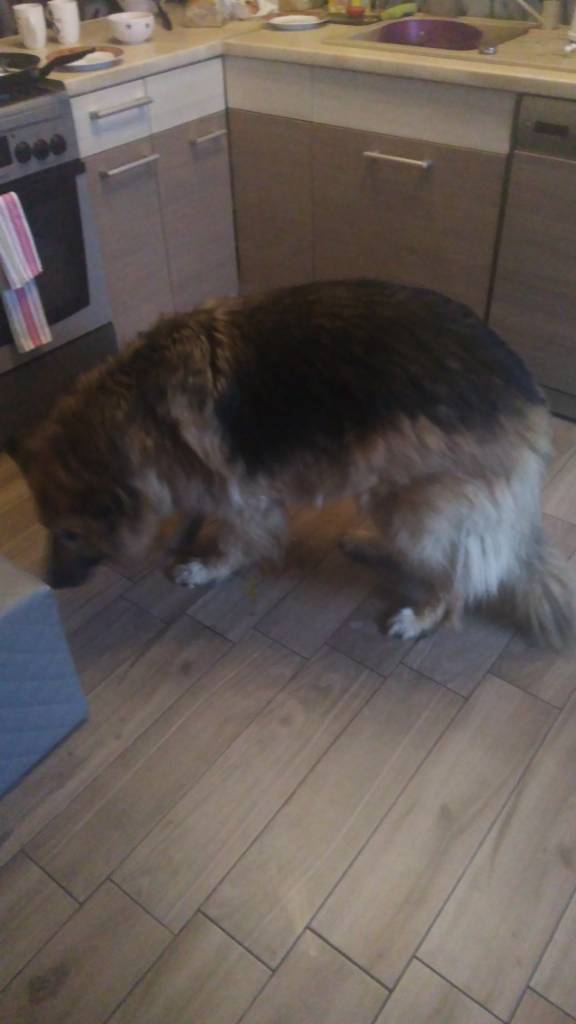 IMG_20200104_093705.jpeg