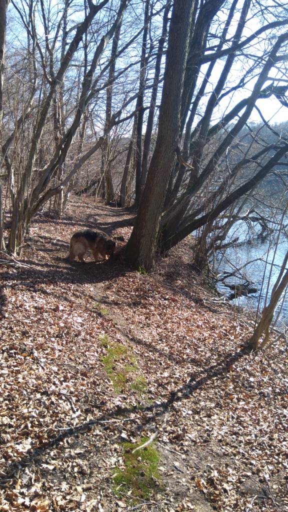 IMG_20200308_121311.jpeg