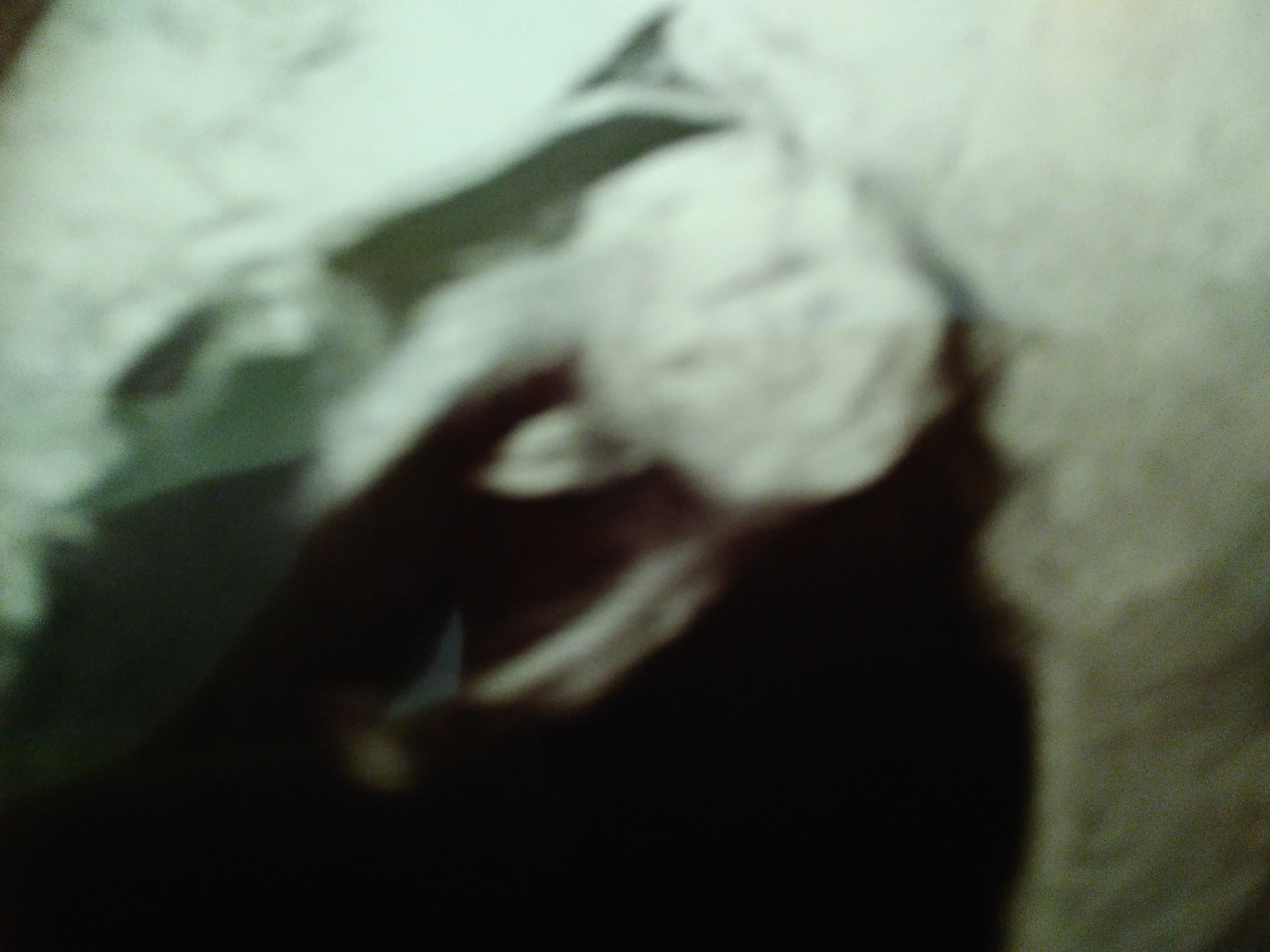 IMG_20200506_230917.jpg