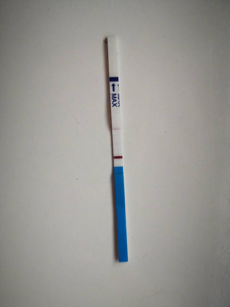 IMG_20200924_080437.jpeg