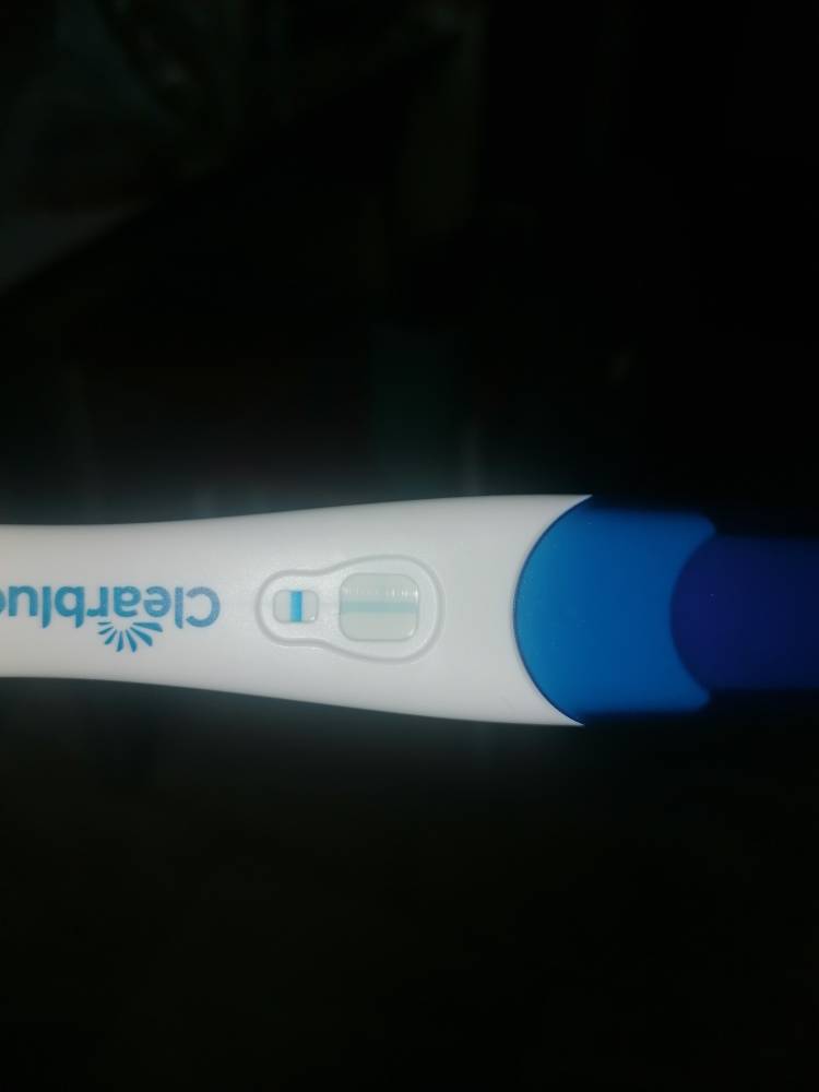 IMG_20201001_115223.jpeg