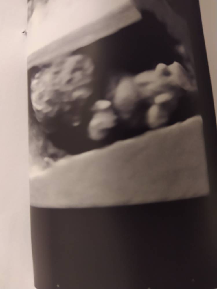 IMG_20210430_223010.jpeg
