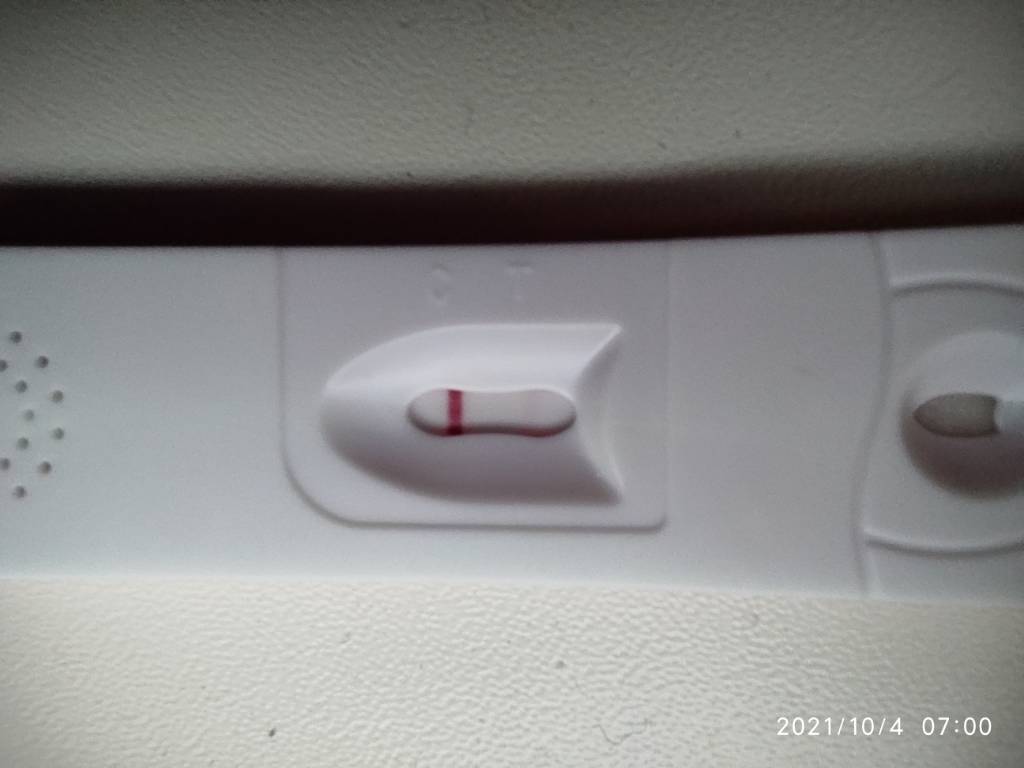 IMG_20211004_070056.jpeg