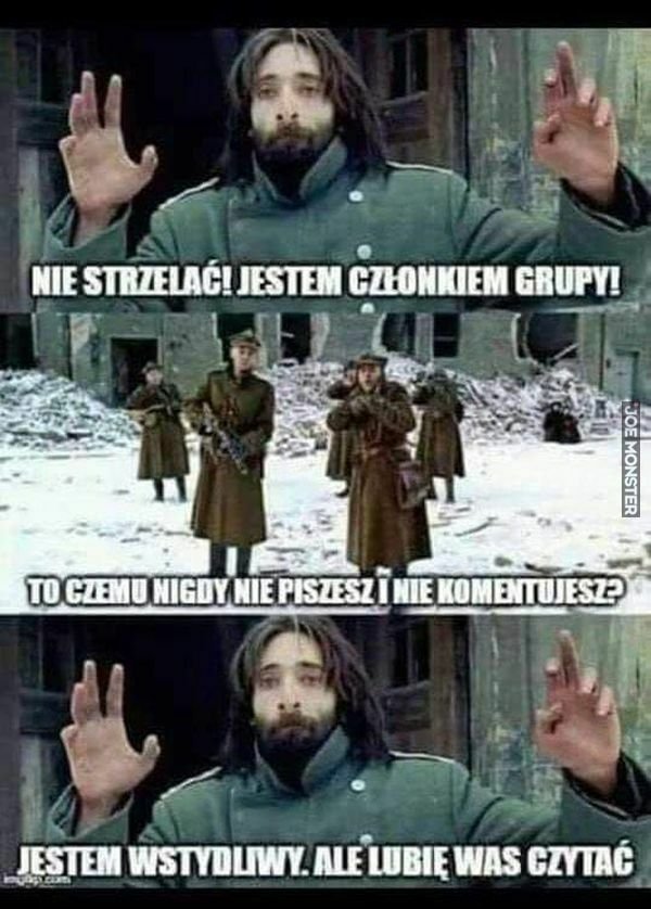 main_4_wstydliwy_cz_onek_czyli_zwyk_y_ny_grupa.jpeg