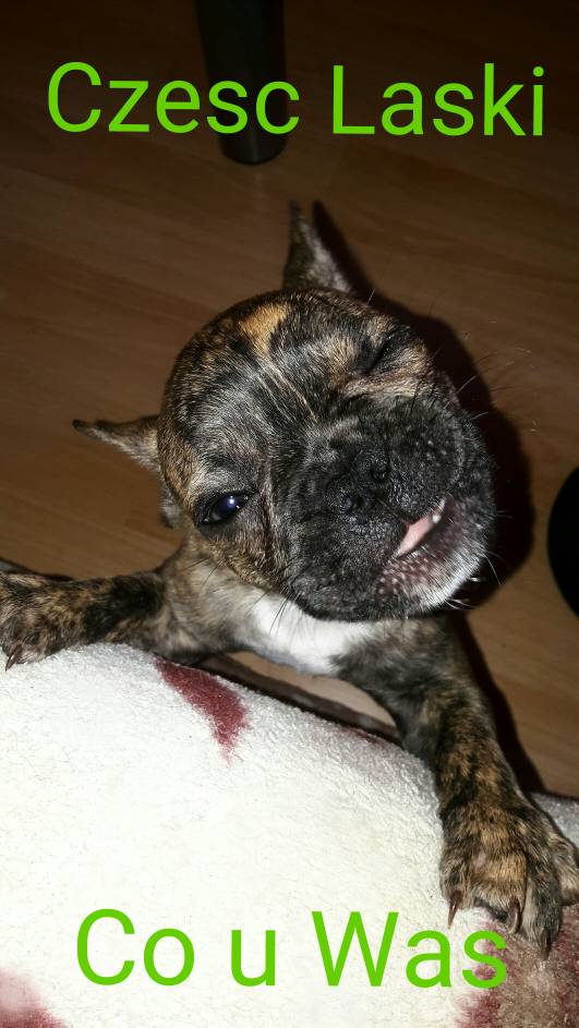 photo 223 5-38-0.jpg