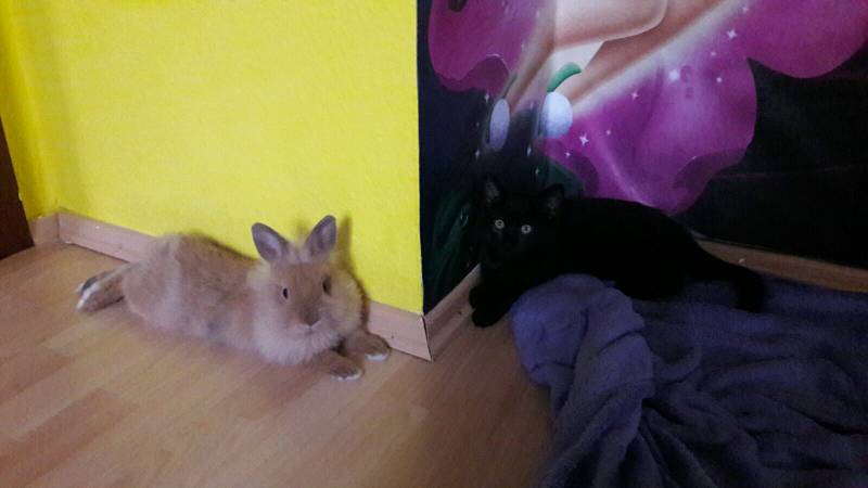 photo 810 10-32-53.jpg