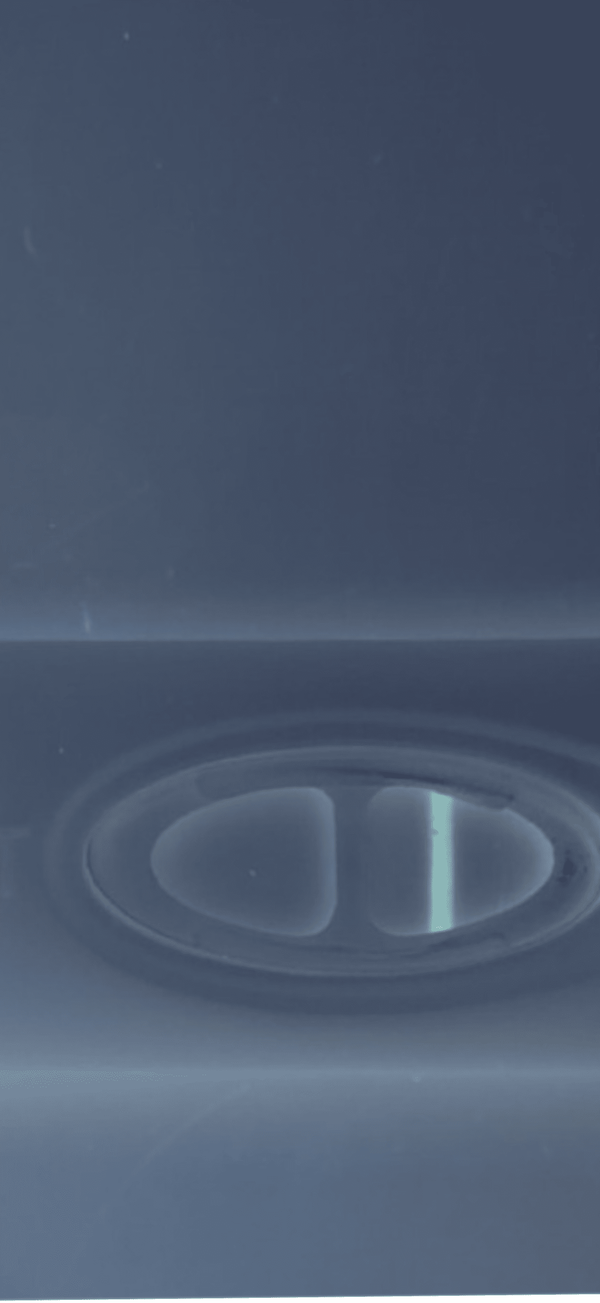 photo-output.png