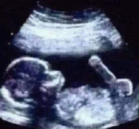 received_1683720918495975.jpeg