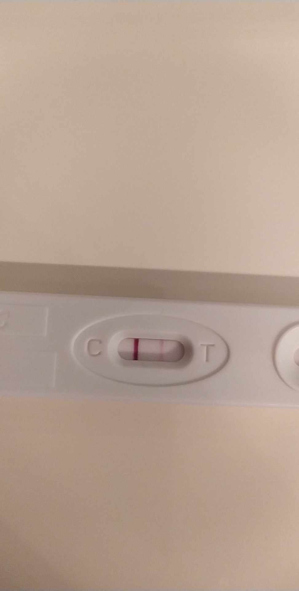 received_1722387691582390.jpeg