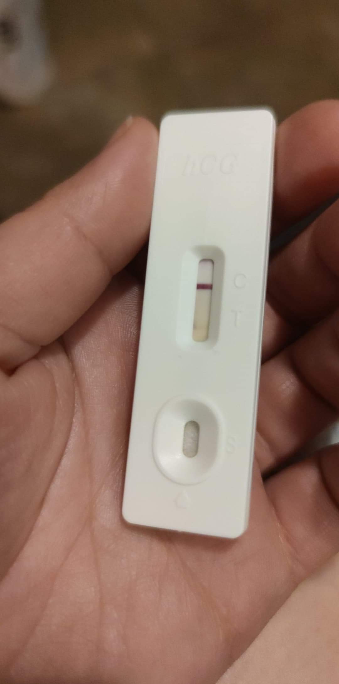 received_312400747147520.jpeg