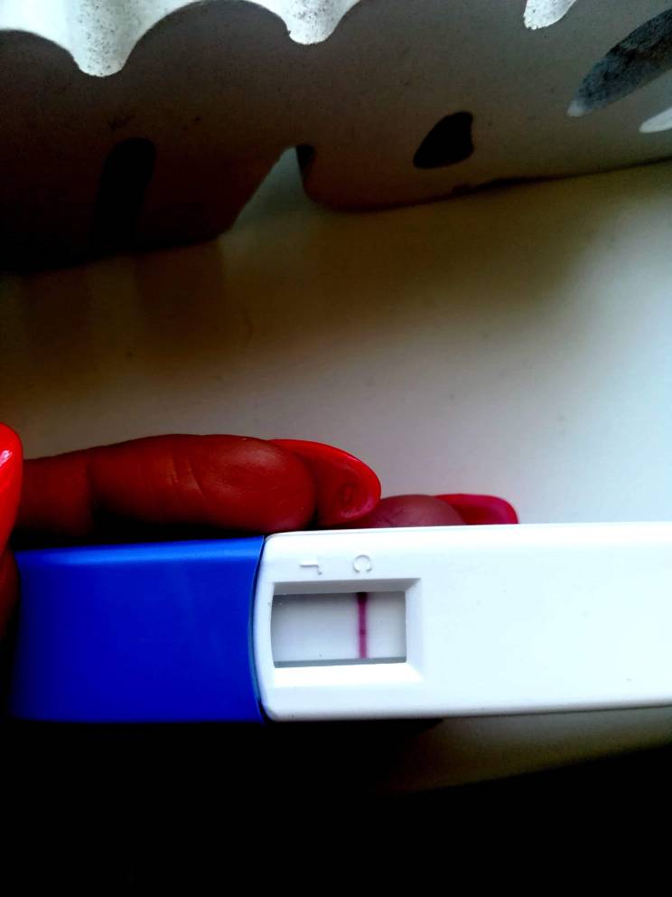 received_542258259848651.jpeg