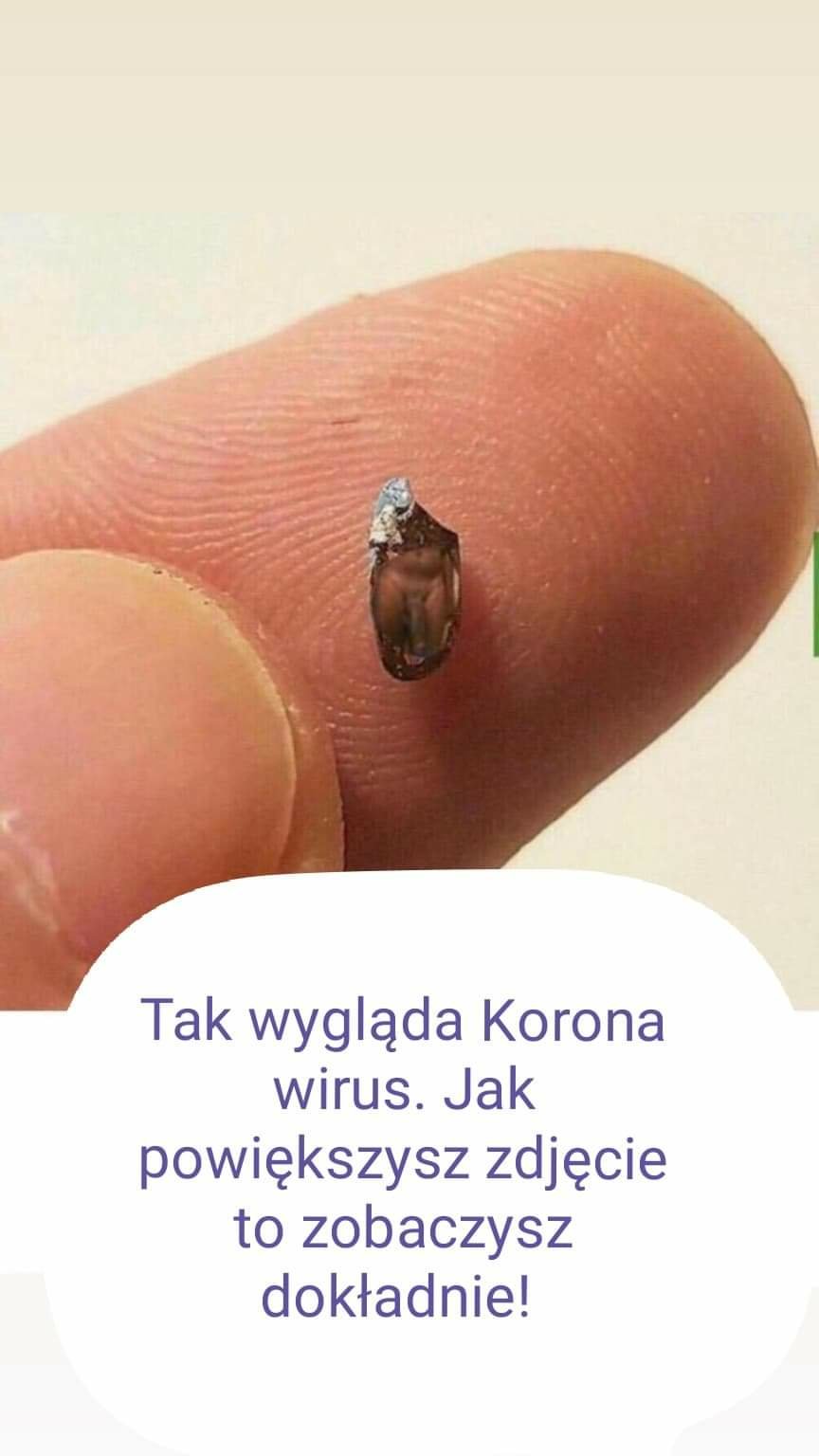 received_563969457807244.jpeg