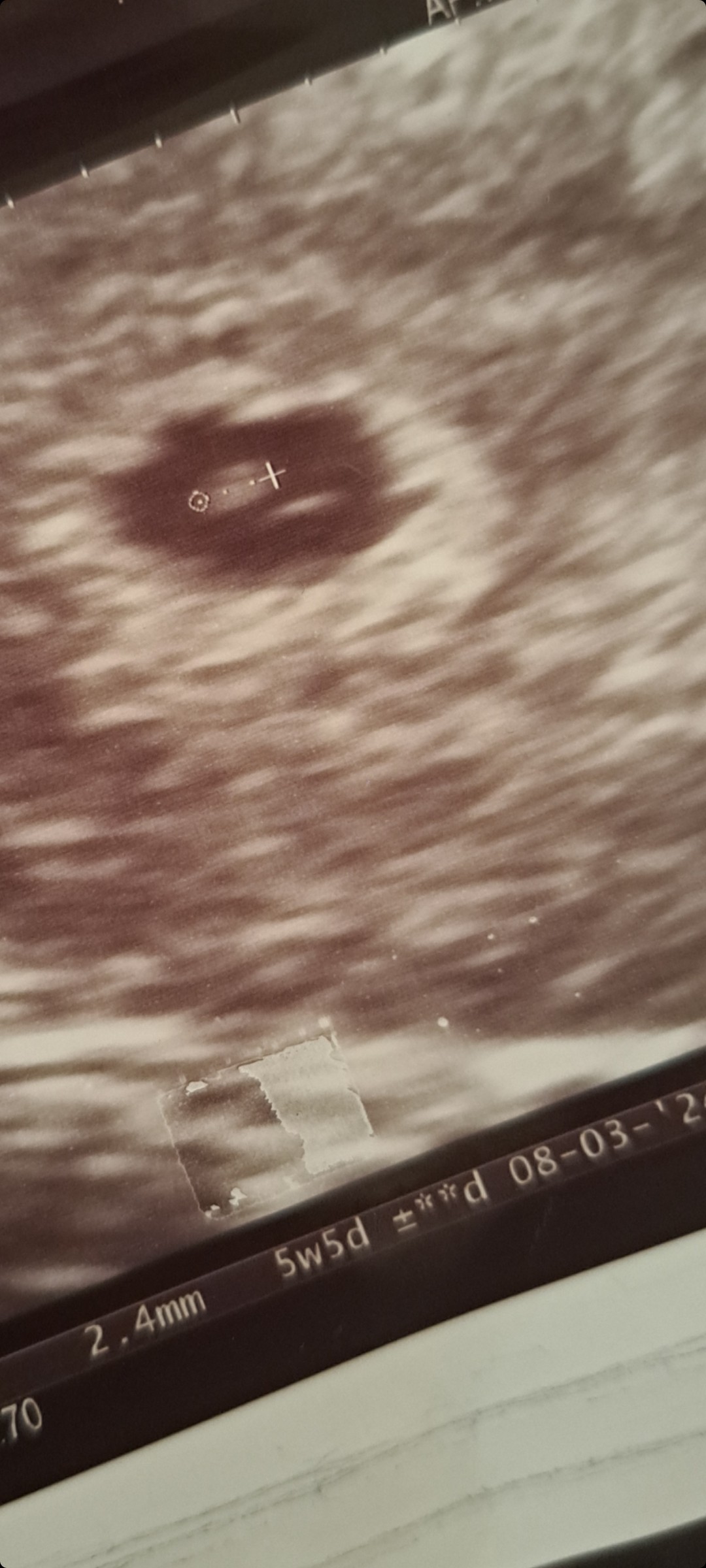 Screenshot_20230807_210006_Gallery.jpg