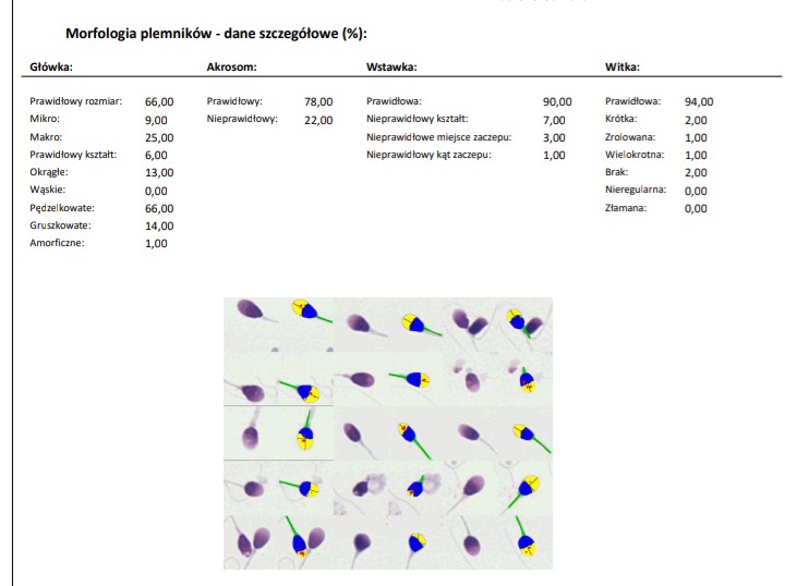 Screenshot_20260217-093212~2.jpg
