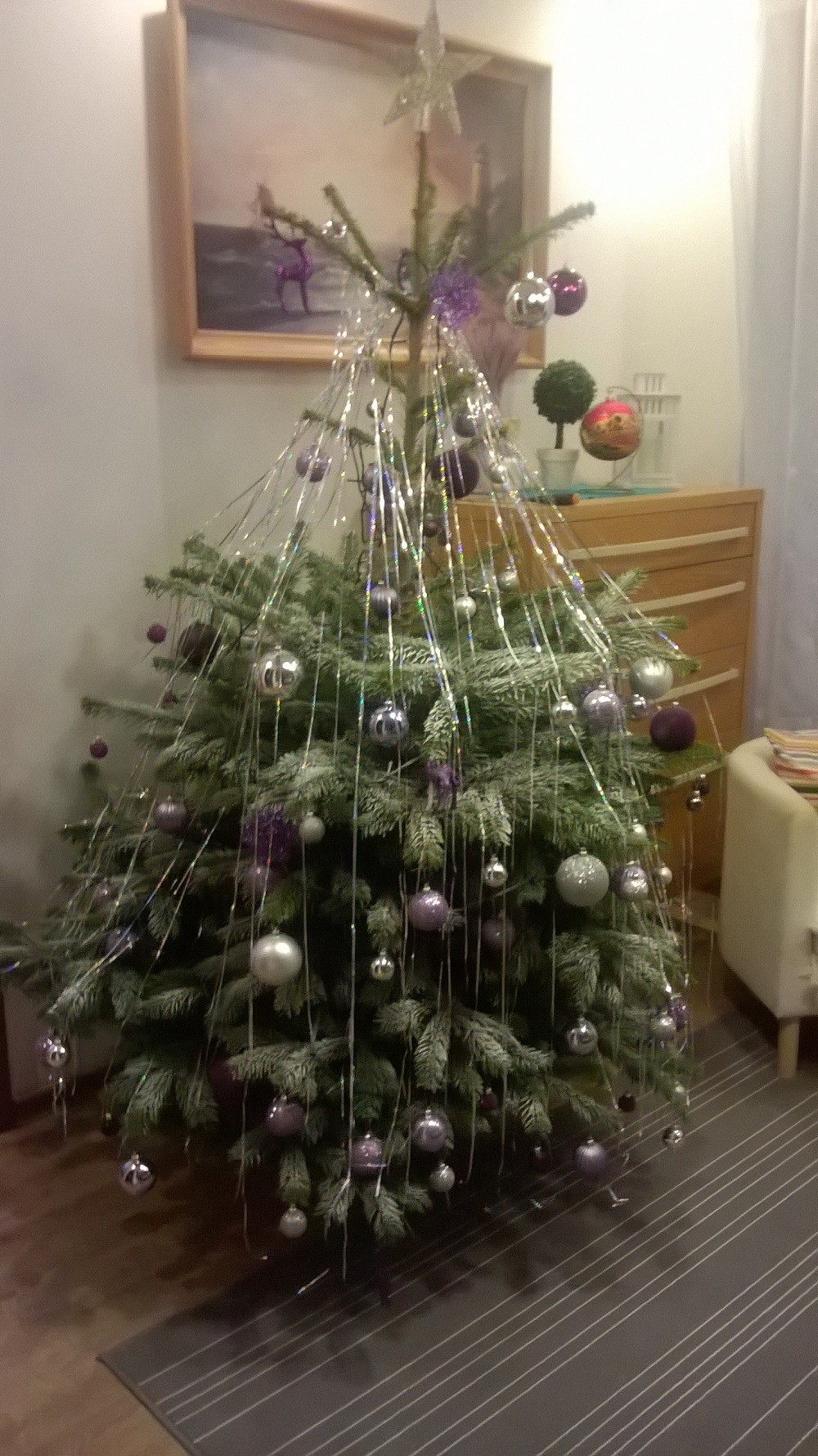 WP_20161217_002.jpg