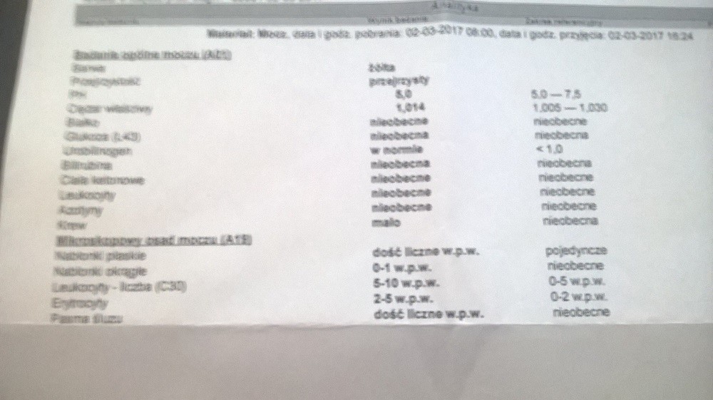 WP_20170303_015.jpg