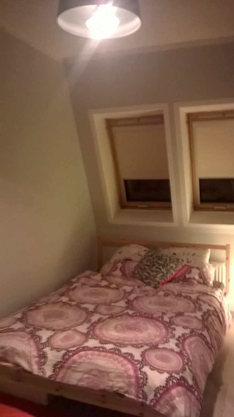 WP_20170309_009.jpg