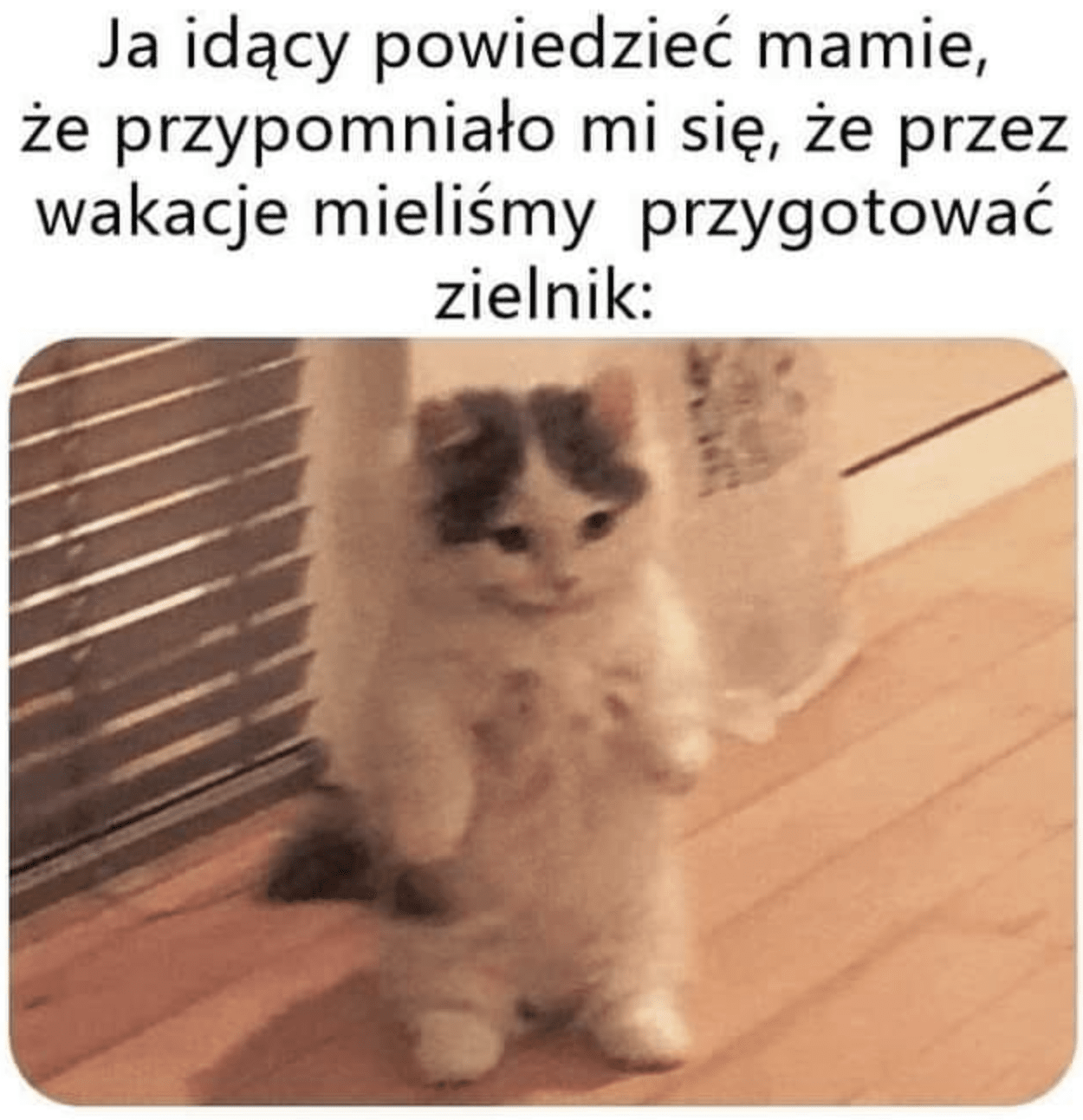 Zrzut ekranu 2023-09-2 o 20.53.24.png