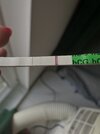 IMG_2141.jpeg