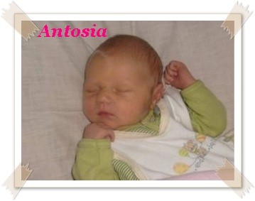 Antosia
