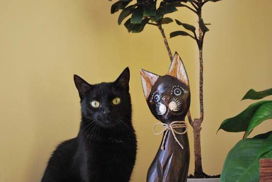 Bonifacy :)