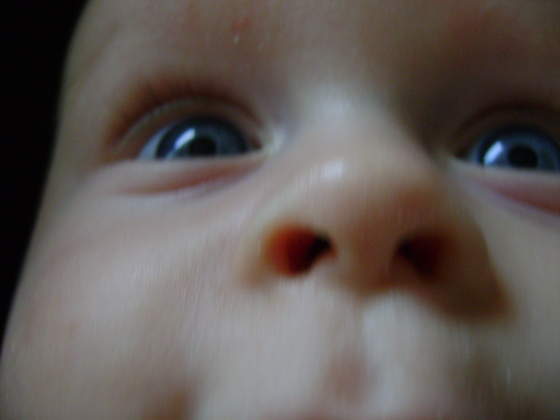 DSC02044