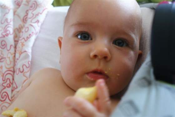 DSC02701 (Small) (Small) (Small) (Small) (Small) (Small)