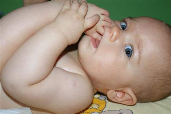 DSC02799 (Small) (Small)