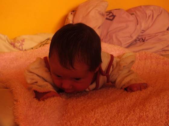 DSCF0730 [DVD (PAL)]