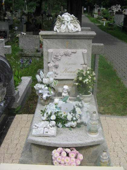 IMG 0017