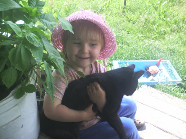 Kicia 2