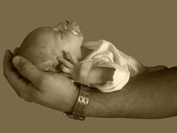 kornel 6.8.2009