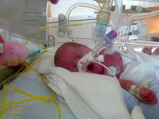 NICOLETTA 13.02.2011