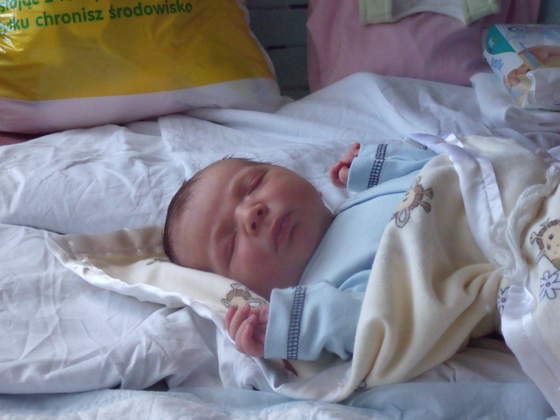 Obraz 014